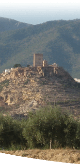 detalle de Aledo