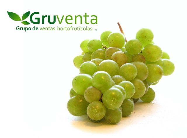 GRUVENTA prevé una campaña de uva de mesa de 'alta calidad' y con una gran proyección internacional
